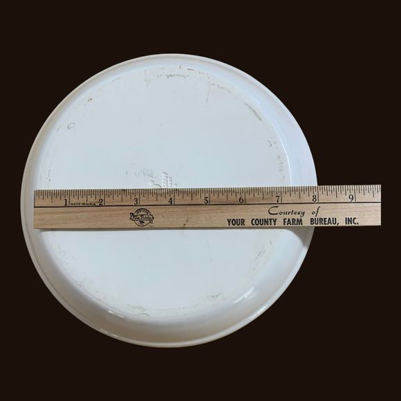 Pfaltzgraff Delicious Pattern Retired Blue Ribbon Pie Plate 9.25” Farmhouse - Picture 6 of 8